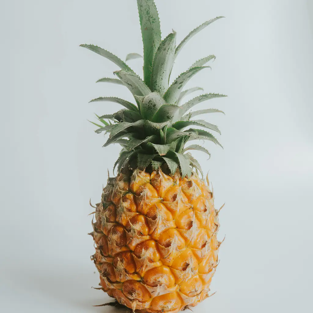 Pineapple